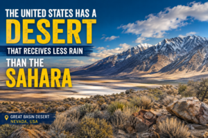 The United States Has a Desert That Receives Less Rain Than the Sahara